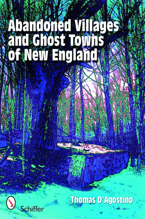 Abandoned Villages & Ghost Towns of New England - Thomas J. D'Agostino