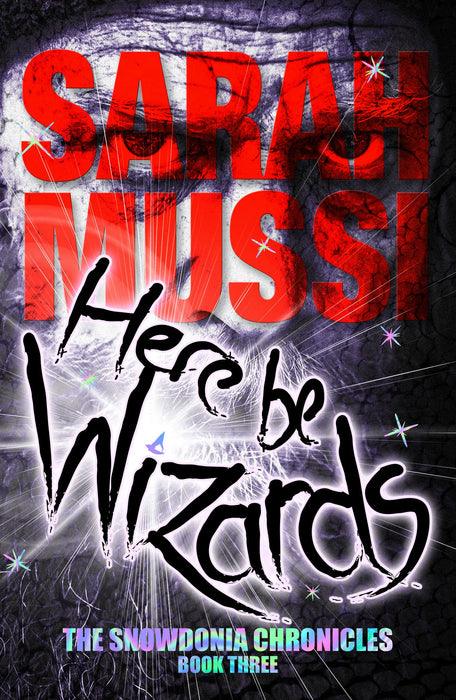 Here be Wizards : The Snowdonia Chronicles: Book Three : 3 - Sarah Mussi