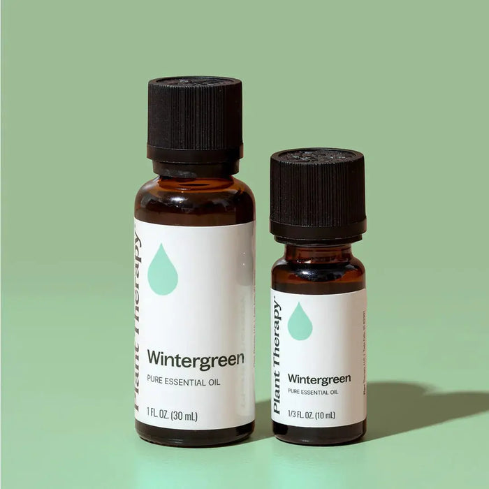 Wintergreen Eteerinen öljy 10 ml - Plant Therapy
