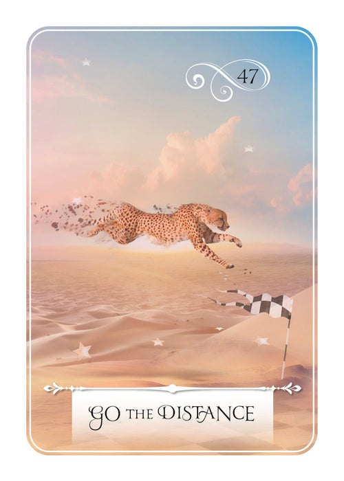 Wisdom of the Oracle Pocket – Go the Distance