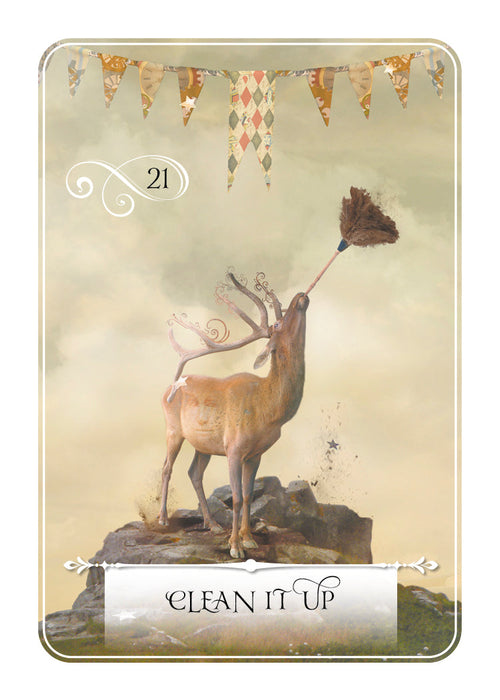 Wisdom of the Oracle Pocket – Clean It Up