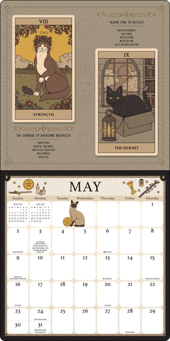Cats Rule the Earth Tarot 2027 seinäkalenteri, sisäsivu