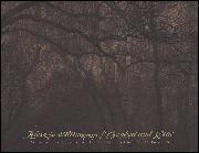 Kiero ja villiintynyt : yhtä kaikki, ensimmäinen kirja = Crooked and wild : all the same, first book cover image