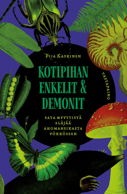 Kotipihan enkelit ja demonit – Piia Kaskinen – kirjan kansikuva