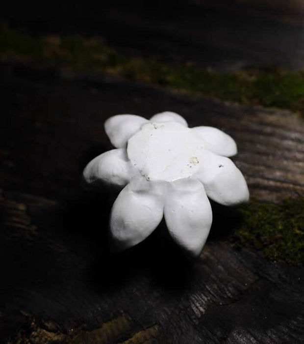 Gohobi White Lotus -käsintehty keraaminen suitsuketeline