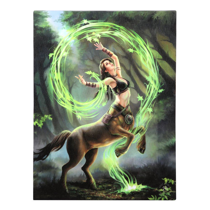 Earth Element Sorceress Canvas - Anne Stokes