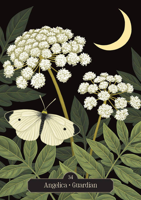 Kate Forsyth's Hedgewitch Oracle - Kate Forsyth, Vasilisa Romanenko