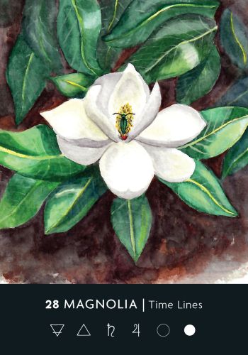 The Ritual Deck: A 52-Card Deck and Guidebook - Cassie Uhl