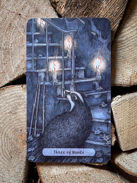 Heartwood tarot deck 1st edition - Stephanie Burrows & Adam Oehlers (indie import)