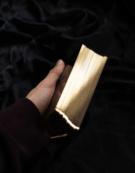 The Dreamy Moons Tarot - Annie Tarasova