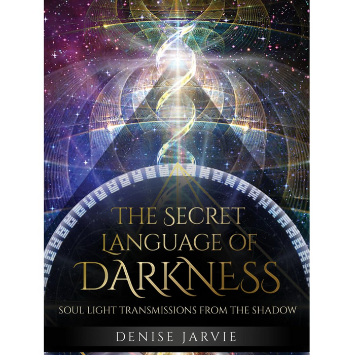 The Secret Language of Darkness - Denise Jarvie