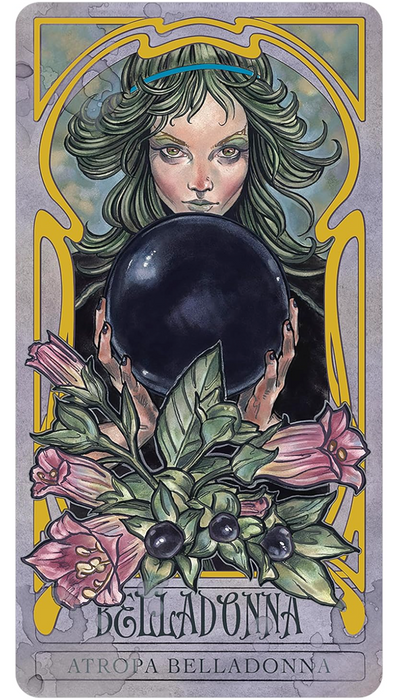 Lady Stirling´s Wicked Gaarden Oracle Deck - Matt Hughes