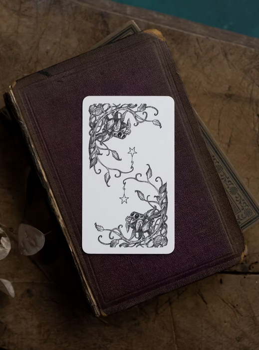 The Winding (first edition 2026) - Stephanie Burrows & Adam Oehlers