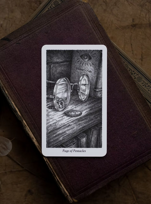 The Winding (first edition 2026) - Stephanie Burrows & Adam Oehlers