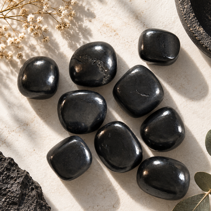 Sungiitti 2-3cm (Shungite)