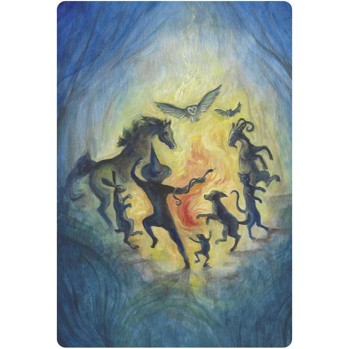A Witch's Ally Oracle- Dodie Graham McKay, Laura Tempest Zakroff
