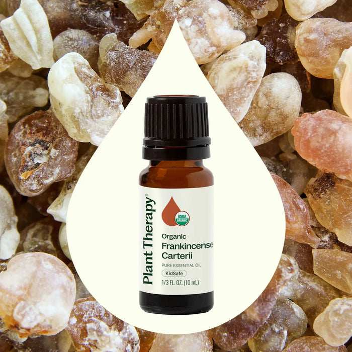 Organic Frankincense Carterii Eteerinen öljy 10 mL