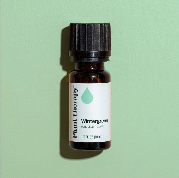 Wintergreen Eteerinen öljy 10 ml - Plant Therapy