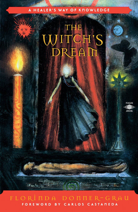 Witch's Dream: A Healer's Way Of Knowledge - Florinda Donner-Grau