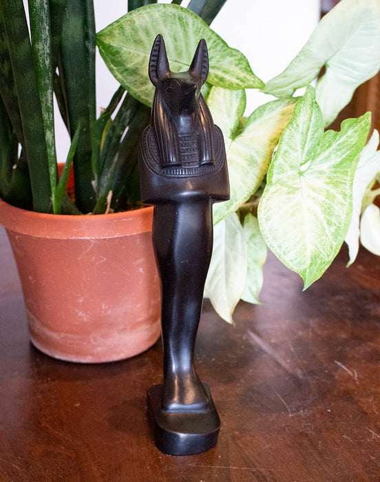 Anubis muumio musta n.28cm