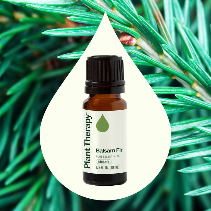 Balsam Fir Eteerinen öljy 10 ml - Plant Therapy