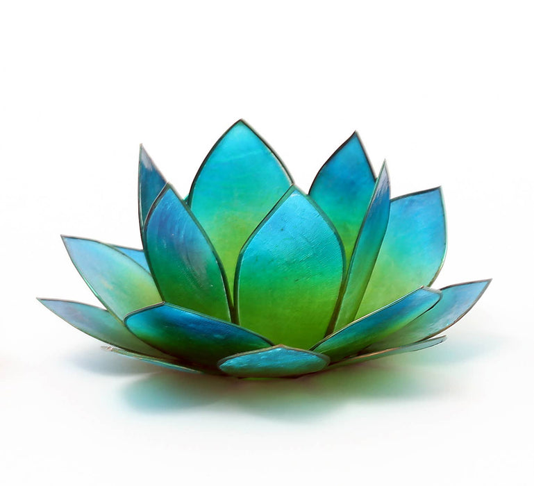 Lotus lyhty sinivihreä “sunrise”