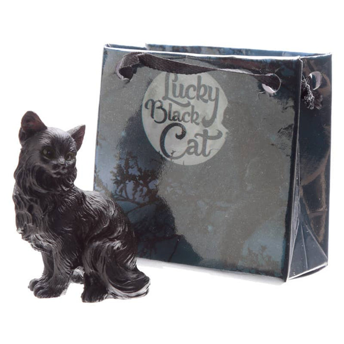 Lucky Black Cat – onnenkissa minilahjakassissa