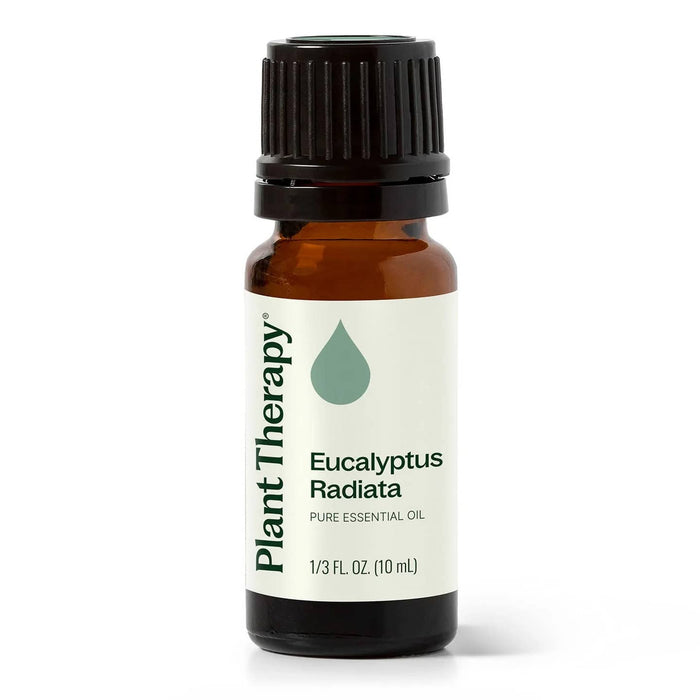 Eucalyptus Radiata eteerinen öljy 10ml - Plant Therapy