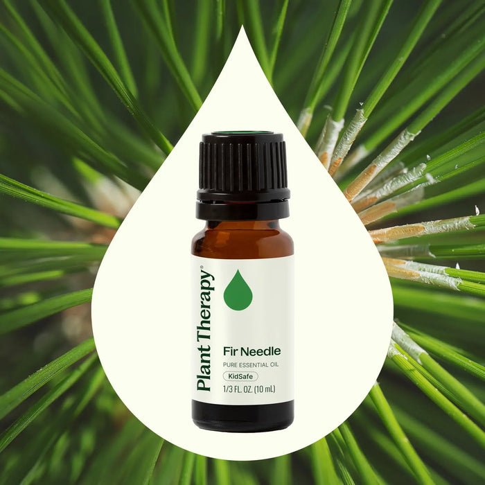 Fir Needle eteerinen öljy 10 ml - Plant Therapy