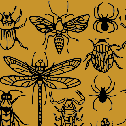 Creepy Crawlies -sukat - FootClothes