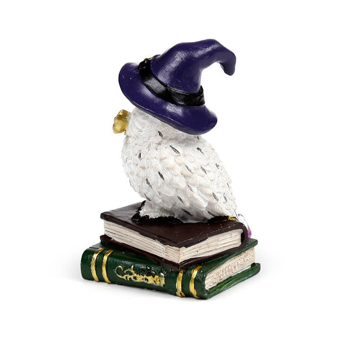 Wise Old Magical Owl – pöllöpatsas loitsukirjojen päällä