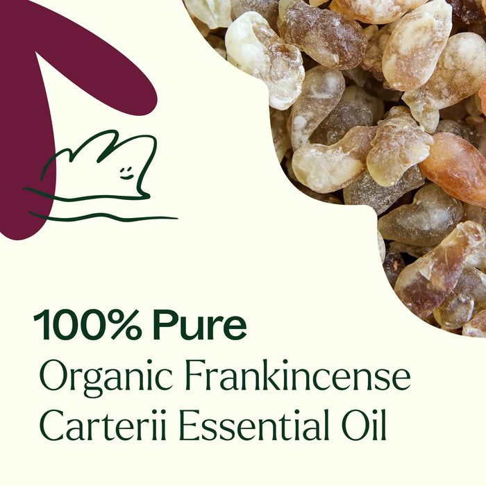 Organic Frankincense Carterii Eteerinen öljy 10 mL