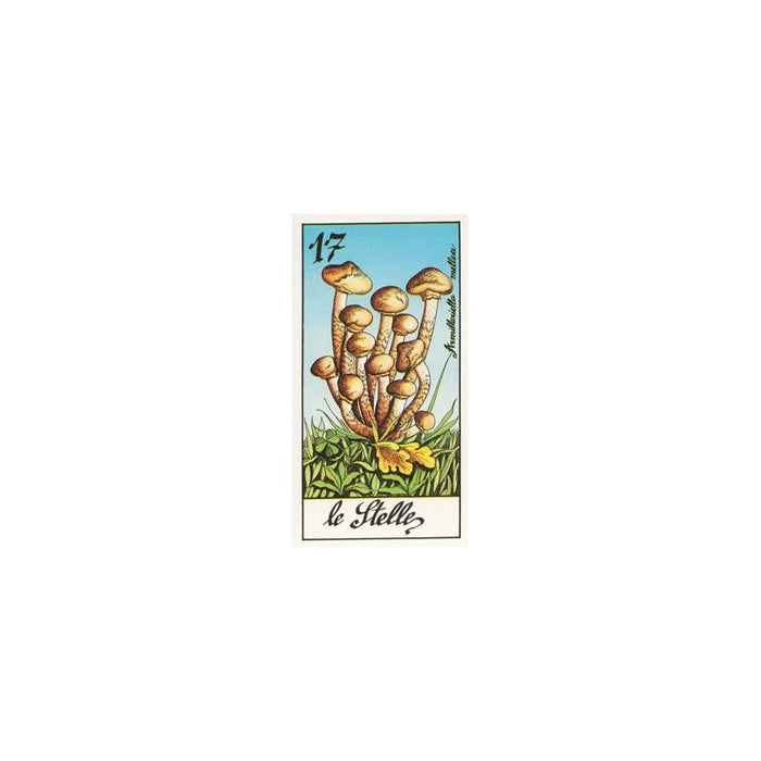 Most Beautiful Mushrooms - I Funghi Tarot Major Arcana - Il Meneghello Edizione