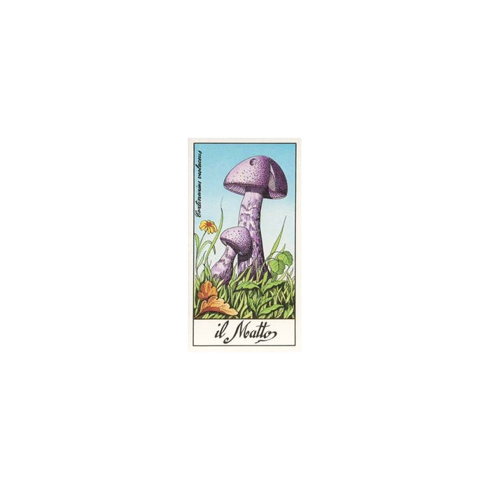 Most Beautiful Mushrooms - I Funghi Tarot Major Arcana - Il Meneghello Edizione