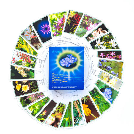 Photo Cards  of The Flower Essences Discovered by Dr. E. Bach - Ilse Maly (Preloved/Käytetty)