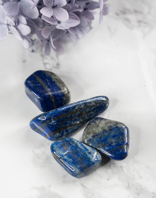 Lapis lazuli 2-3cm (Afganistan) - Tarotpuoti