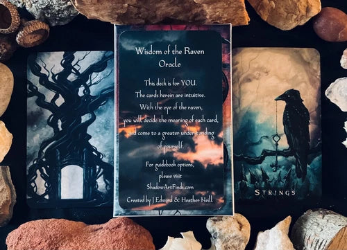 Wisdom of the Raven Oracle - 52 Card Oracle Deck Featuring Surreal Crow Artwork - J Edward Neill (Kopio)