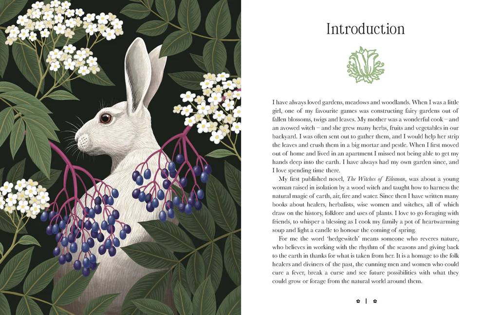 Kate Forsyth's Hedgewitch Oracle - Kate Forsyth, Vasilisa Romanenko
