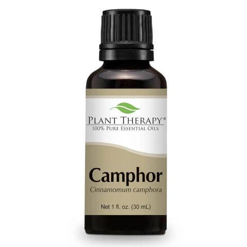 Camphor White valkoinen kamferi eteerinen öljy 30ml - Plant Therapy
