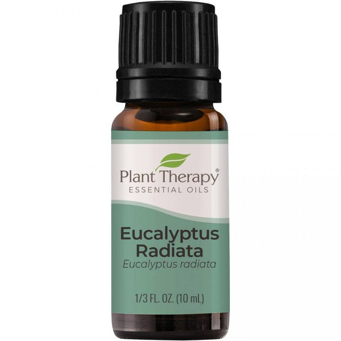 Eucalyptus Radiata eteerinen öljy 10ml - Plant Therapy