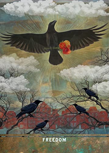 Urban Crow Oracle: A 54-Card Deck and Guidebook - MJ Cullinane
