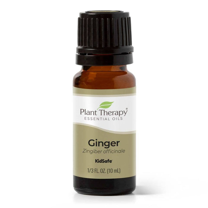 Ginger eteerinen öljy 10ml - Plant Therapy