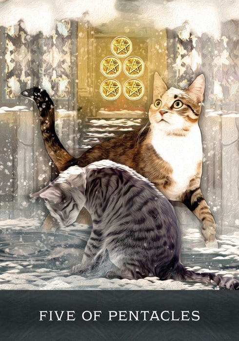 Grimalkin's Curious Cats Tarot : An 80-Card Deck and Guidebook - MJ Cullinane