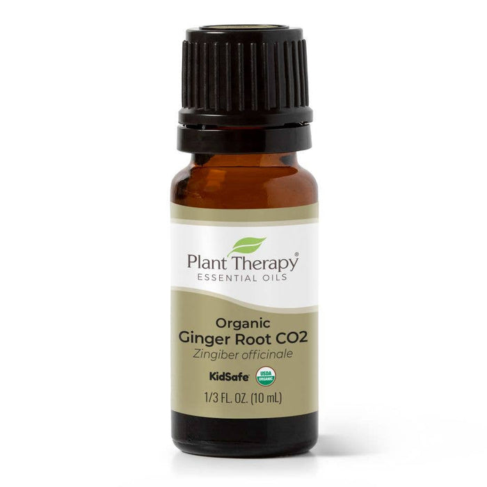 Organic Ginger Root CO2 eteerinen öljy 10ml - Plant Therapy