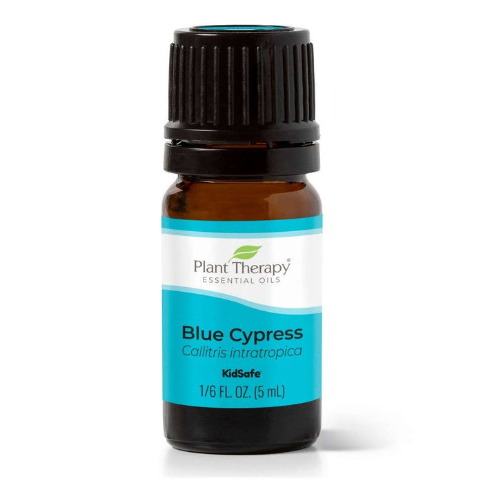 Blue Cypress eteerinen öljy 5ml - Plant Therapy