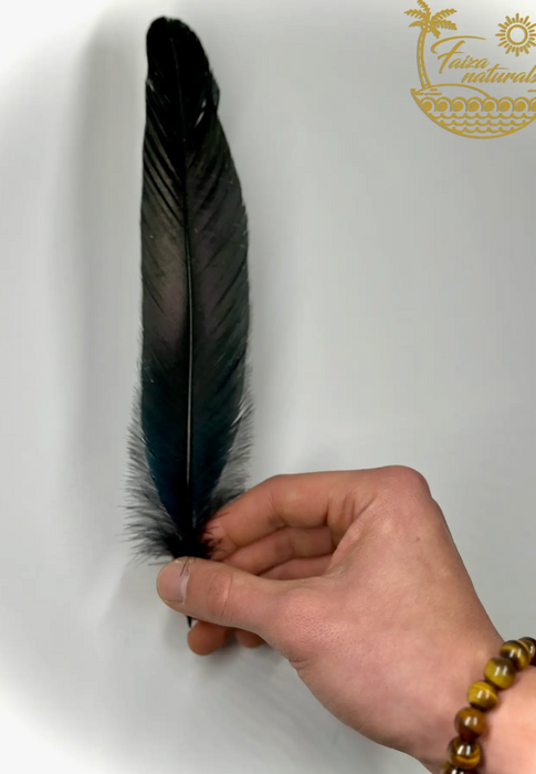 Musta variksen sulka n. 20cm