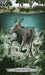 Animal Totem Tarot - Leeza Robertson - Tarotpuoti