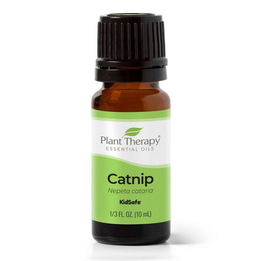 Catnip eteerinen öljy 10ml - Plant Therapy - Tarotpuoti