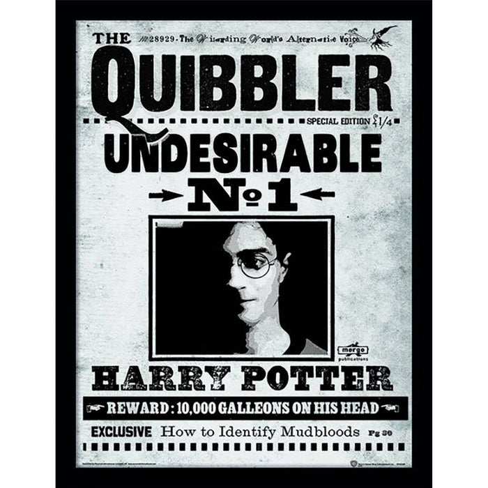 Harry Potter - The Quibbler taulu 30 x 40cm
