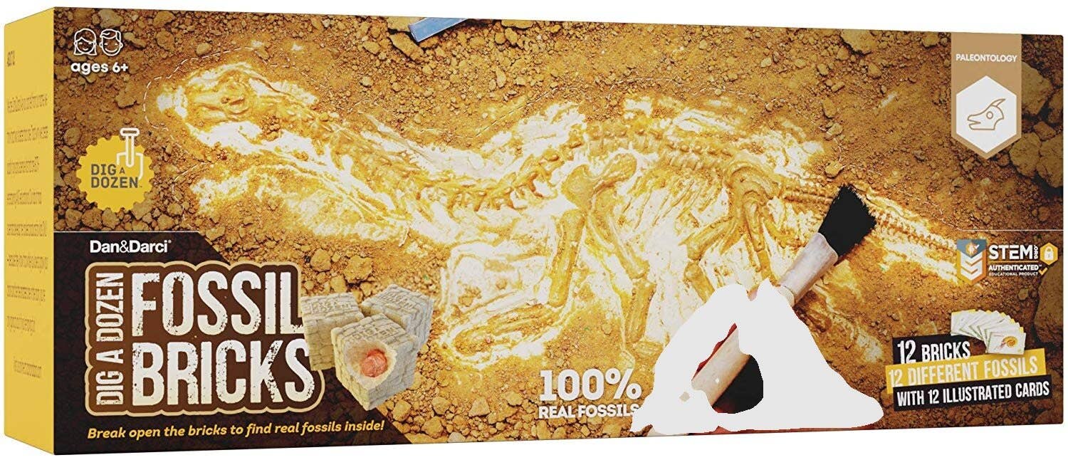 Dig a Dozen fossiilit Kit - nuoren fossiiliharrastajan starttipaketti - Tarotpuoti